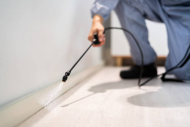 Licensed Wasp Control service in West Des Moines, IA - Nex Pest Control