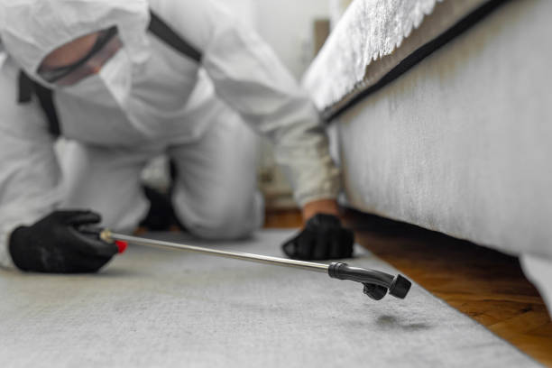 Professional Wasp Control technician working in West Des Moines, IA