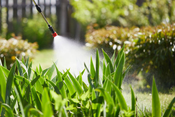 24/7 Emergency Mosquito Control experts in West Des Moines, IA