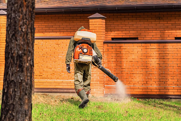 Trusted Cockroach Control service in West Des Moines, IA - Nex Pest Control